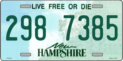 NH license plate 2987385