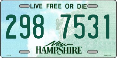 NH license plate 2987531