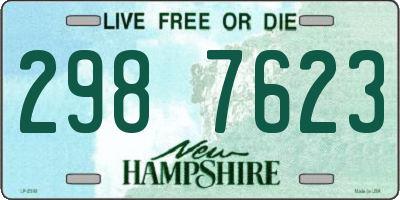 NH license plate 2987623
