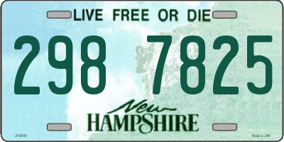 NH license plate 2987825