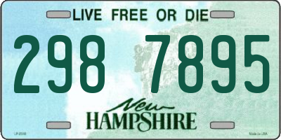 NH license plate 2987895