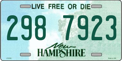 NH license plate 2987923
