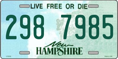 NH license plate 2987985