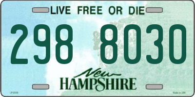 NH license plate 2988030