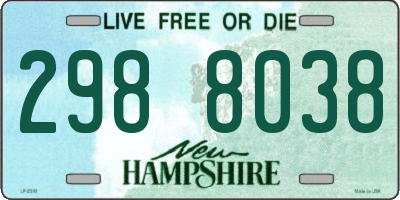 NH license plate 2988038