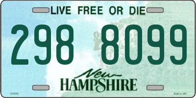NH license plate 2988099