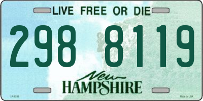 NH license plate 2988119