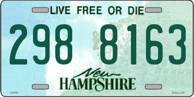 NH license plate 2988163