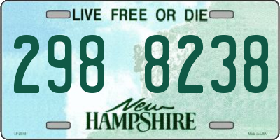 NH license plate 2988238