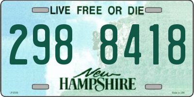 NH license plate 2988418