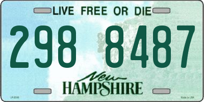 NH license plate 2988487