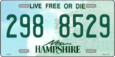 NH license plate 2988529