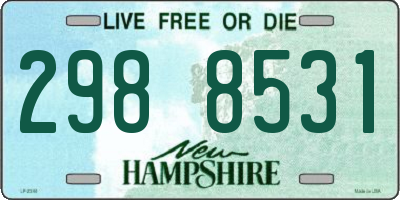 NH license plate 2988531