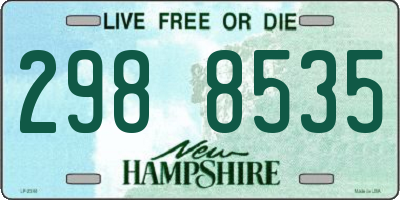 NH license plate 2988535
