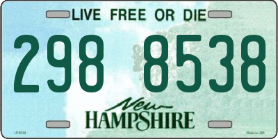 NH license plate 2988538