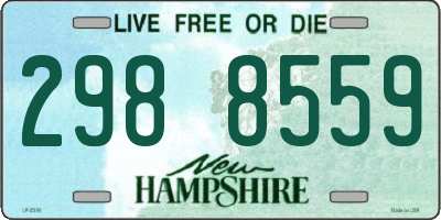 NH license plate 2988559