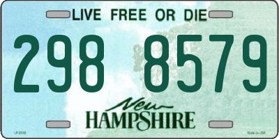 NH license plate 2988579