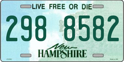 NH license plate 2988582