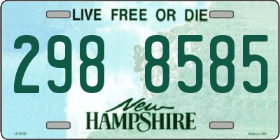 NH license plate 2988585