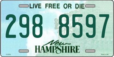 NH license plate 2988597