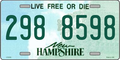NH license plate 2988598