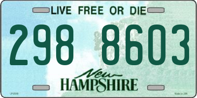 NH license plate 2988603