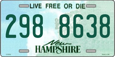 NH license plate 2988638