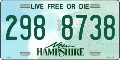 NH license plate 2988738