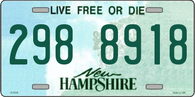 NH license plate 2988918