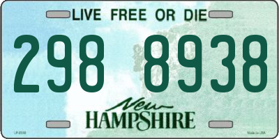 NH license plate 2988938
