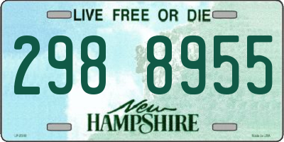 NH license plate 2988955