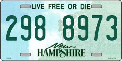 NH license plate 2988973