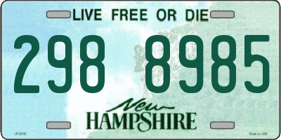 NH license plate 2988985
