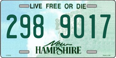 NH license plate 2989017