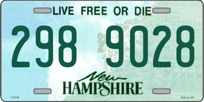 NH license plate 2989028