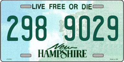 NH license plate 2989029