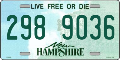 NH license plate 2989036