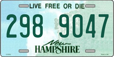NH license plate 2989047