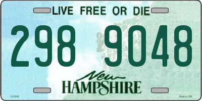 NH license plate 2989048