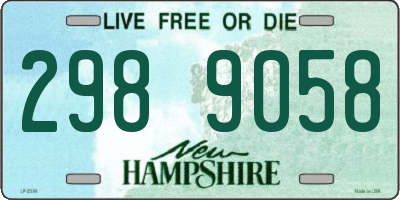 NH license plate 2989058