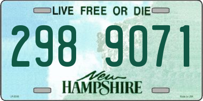 NH license plate 2989071