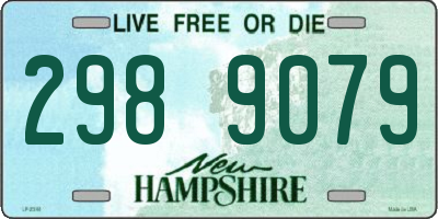 NH license plate 2989079