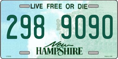 NH license plate 2989090
