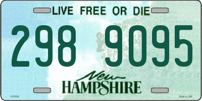 NH license plate 2989095