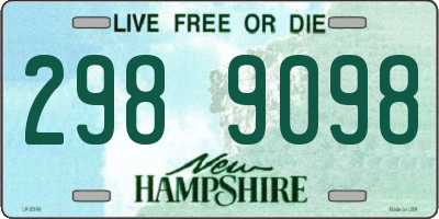 NH license plate 2989098