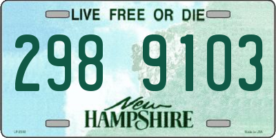 NH license plate 2989103