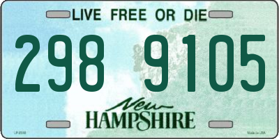NH license plate 2989105
