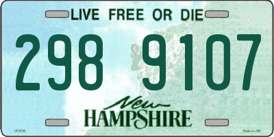 NH license plate 2989107
