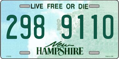 NH license plate 2989110