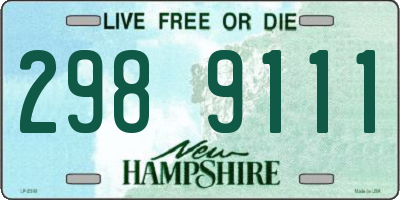 NH license plate 2989111